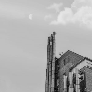 Industrial Sector
