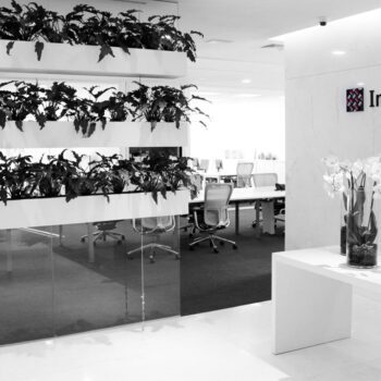Next thumb