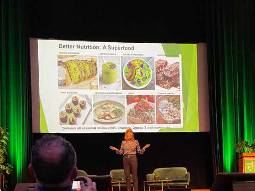 2023_10_27_Future of Protein Production Amsterdam (11)